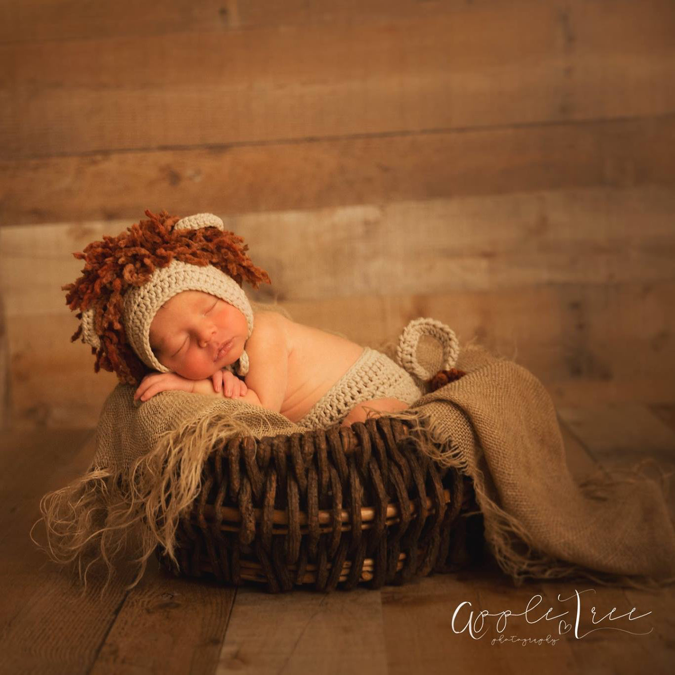 Crochet Pattern for Lion and Lioness Baby Bonnet | Crochet Baby Bonnet Pattern | Baby Hat Crocheting Pattern | DIY Written Crochet Instructions