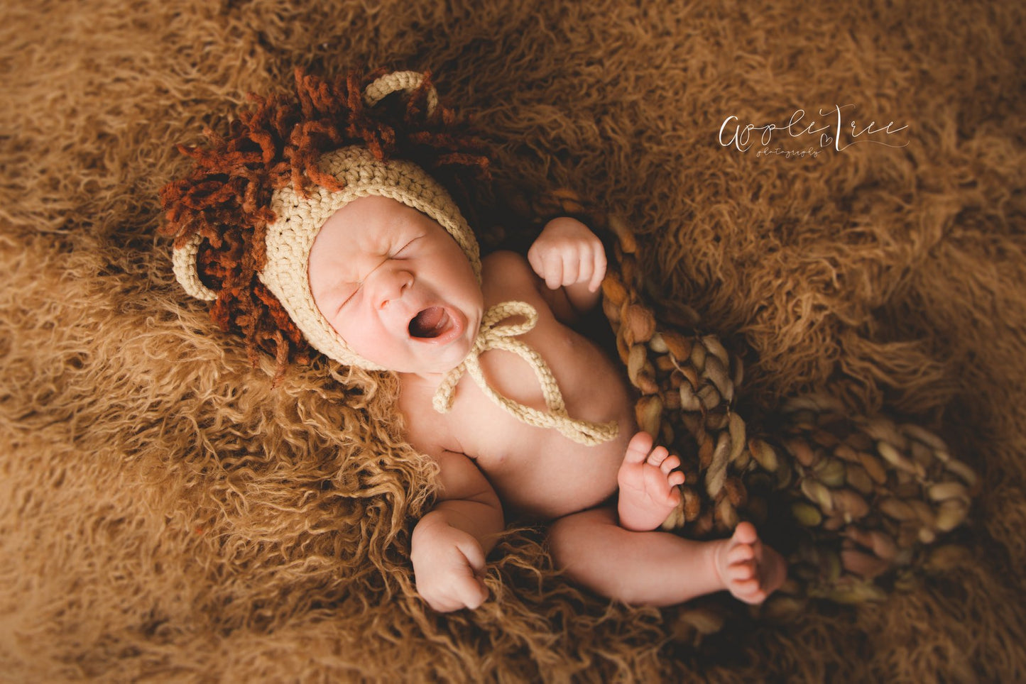 Crochet Pattern for Lion and Lioness Baby Bonnet | Crochet Baby Bonnet Pattern | Baby Hat Crocheting Pattern | DIY Written Crochet Instructions