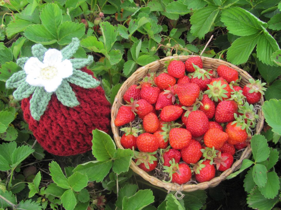 Crochet Pattern for Berrylicious Strawberry Beanie Hat | Crochet Hat Pattern | Hat Crocheting Pattern | DIY Written Crochet Instructions