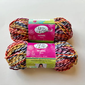 YARN (DISCONTINUED):  Hobby Lobby Yarn Bee Mimic Yarn in Sorbet (lot of 2)