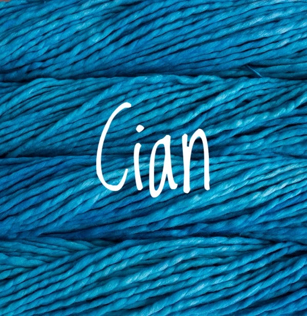 Malabrigo Yarn | Rasta | #6 Super Bulky Weight | Single Ply 100% Merino Wool