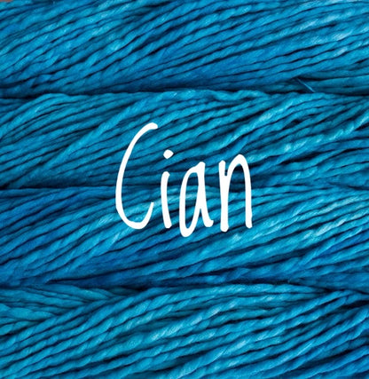 Malabrigo Yarn | Rasta | #6 Super Bulky Weight | Single Ply 100% Merino Wool