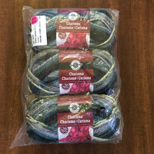 Load image into Gallery viewer, YARN:  Lot of 3 Skeins (per bag) Loops &amp; Threads Charisma #5 Bulky Weight Yarn (multiple colors available)

